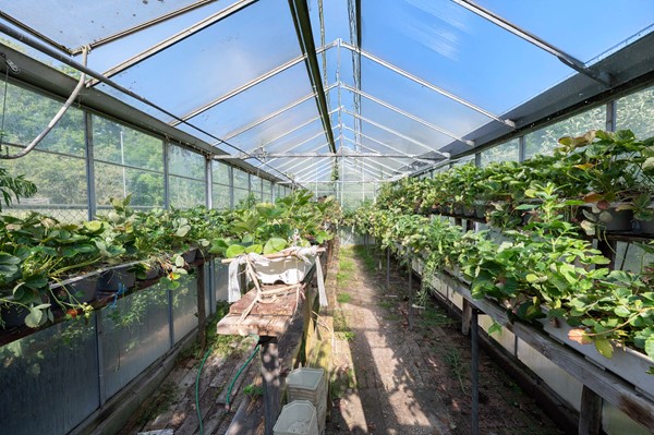 Medium property photo - Sint Maartenstraat 10, 4735 TD Zegge